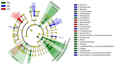 东北地理所在大豆长期连作对土壤真菌群落