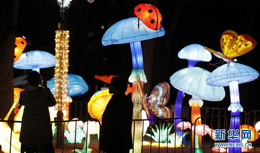 甲方处女座什么梗