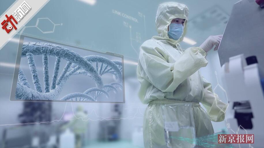 动画:吉林一药企狂犬疫苗生产记录造假被产品