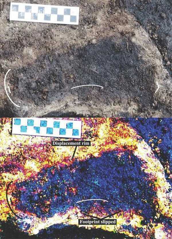 加拿大发现古老足迹 1万3千年前人类脚印长啥样？
