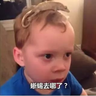 “假笑男孩”开微博!凭假笑成世界第一网红…哈哈哈,有毒!