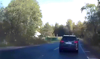 我的宝可梦怕是长睡不醒 动图 直面会时间再叫醒我