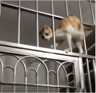 确定过眼神，他是要怼我的人