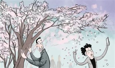 春日中国式赏花不文明行为频现,每日劝阻50