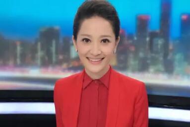 康辉海霞欧阳夏丹盘点央视名嘴主持心得