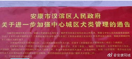 亚洲国际娱乐优发娱乐 - 足球:我们也有梦想!和日本相比,除了梦想我们到底还缺少什么?