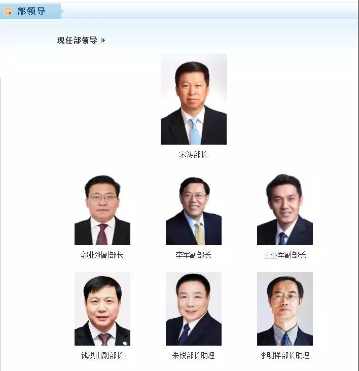 k彩游戏2.0官方·秋天多肉砍1刀,立马爆出一圈芽,1盆变10盆不花钱