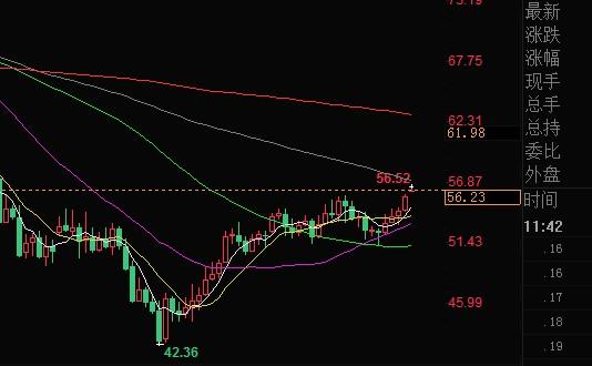 美国的德州有多少人口_美国德州地图(3)