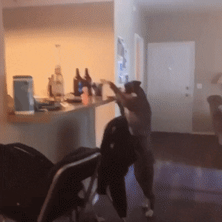 快用你的前列腺刹车术想想办法啊 动图 这谁管得了