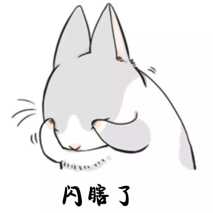 荷兰猪的视力究竟如何?今天总算有答案了