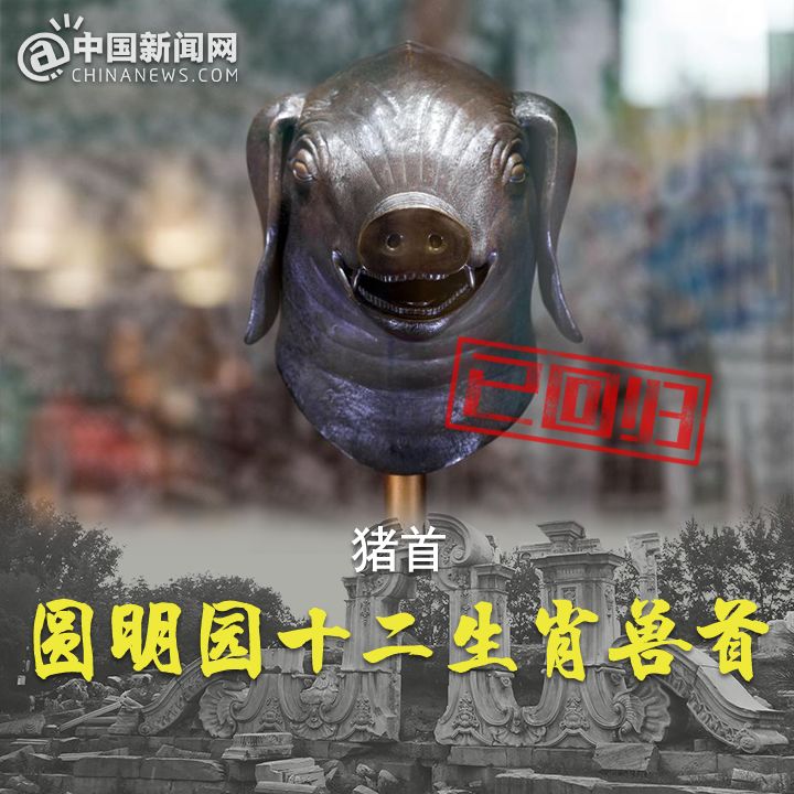 凤凰黑彩娱乐平台网址|科尔:不喜欢挑战判罚的新规 因为我不喜欢回放录像