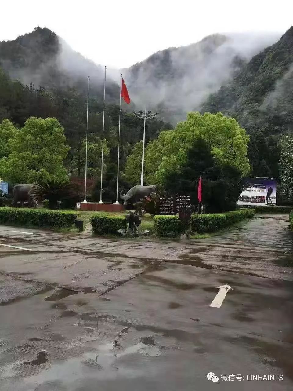 涌泉桔任你吃,免费摘,2019临海涌泉沿江第一届桔文化旅游节,三大福利