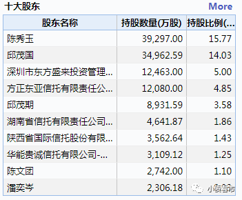  十大股东明细
