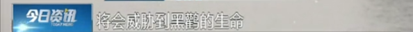 「怎么注册博猫」曾志伟又带美女化妆师出国滑雪,遇到路人跟拍女方迅速走开