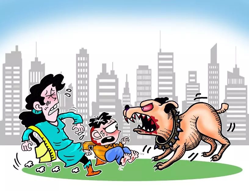 6岁男童小区被狗咬身亡 狗主、物业及医院被判