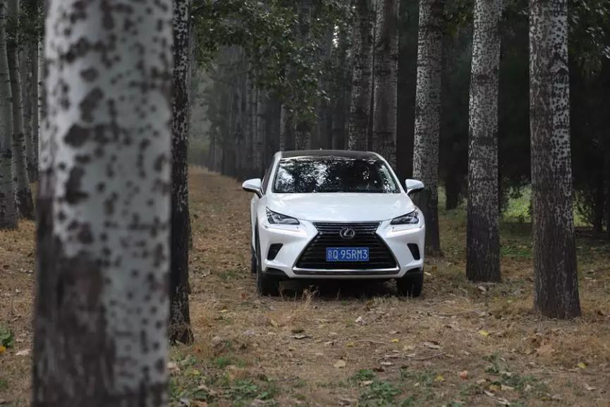 试驾|Lexus NX300h:俊朗造型显刚毅 精湛内饰博芳心