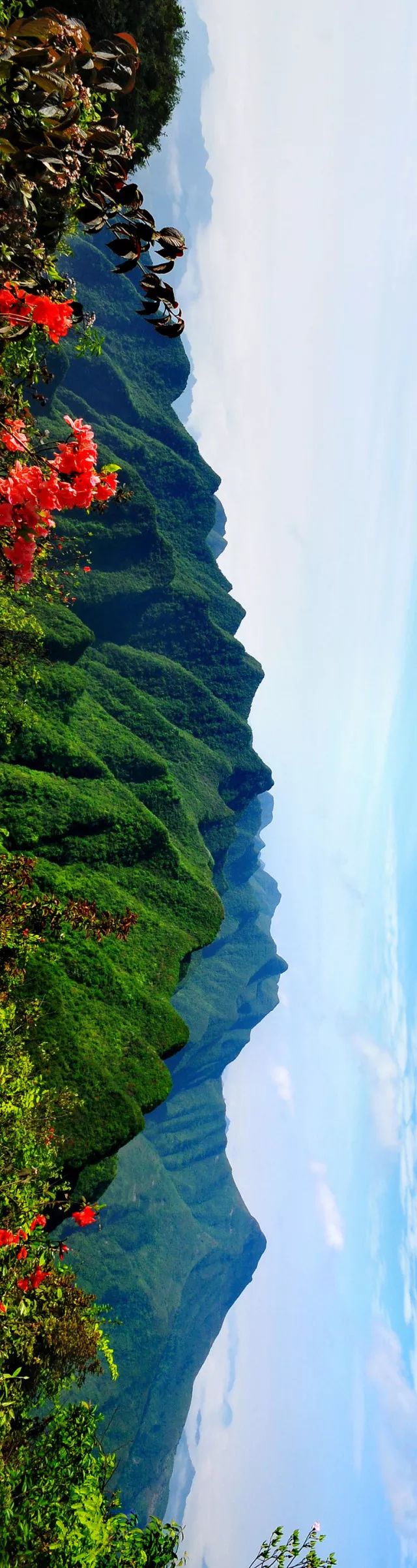 重庆到底有多少山？