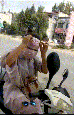 日天日地日空气的泰迪表示，这些都是小意思。