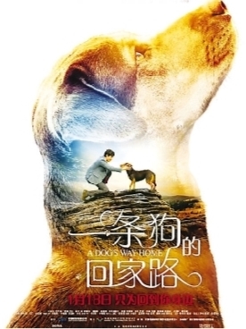 蹭狗年热点,“狗片”大多成“炮灰”