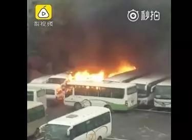 飙温！30℃春天回来了｜崩溃！秦皇岛一对情侣酒