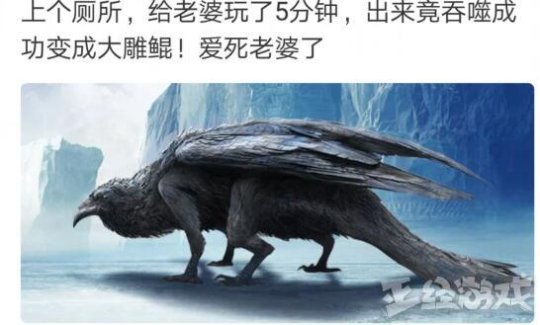 老婆操作失误能炼出腐鲲,职业电竞选手失误会