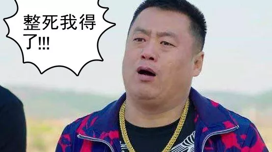 东北话里有个万能动词 整 ,这个字到底有多万能