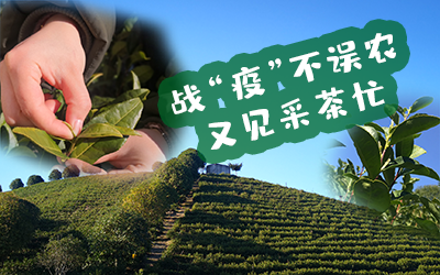 多国联军摧毁也门胡塞武装存放导弹和无人机的