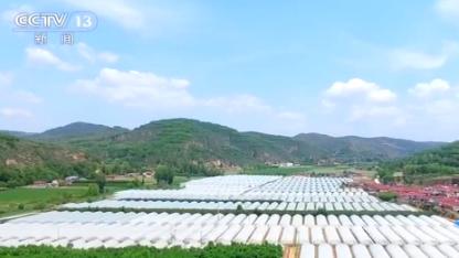 帕斯 人口_喵帕斯(2)