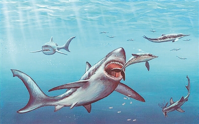 谁害死了史前怪兽巨齿鲨