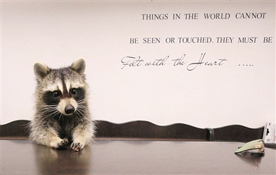 好员工 小浣熊宠物医院当前台