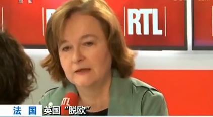 法国敦促英国尽快就脱欧作出决定