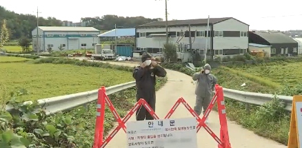 韩国当局封闭通往养猪场的门路 视频截图