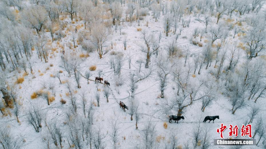 Data Analysis: How to Understand the Key to Victory in None?