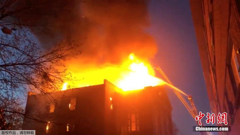 明肇森：在喧囂時代，尋回靈魂的清晨與森林 