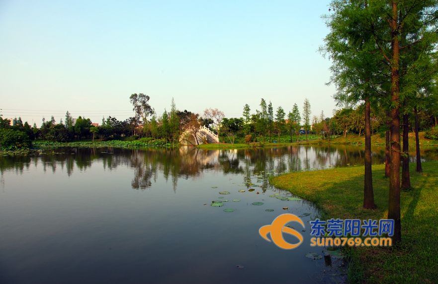 高质量发展进行时|道滘:以产业更新推动转型,打