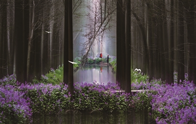 兴化:打造“全省大公园、人文梦水乡”