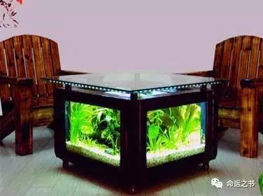 如何养鱼才能为你招来好运？ | 风水改善运势
