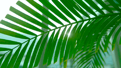 美景中欧 | 有关盛夏的美好,从这里开启