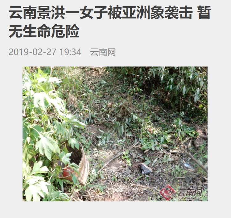 婚前协议生娃后必须减肥 每日轻松一刻3月1日晚间版