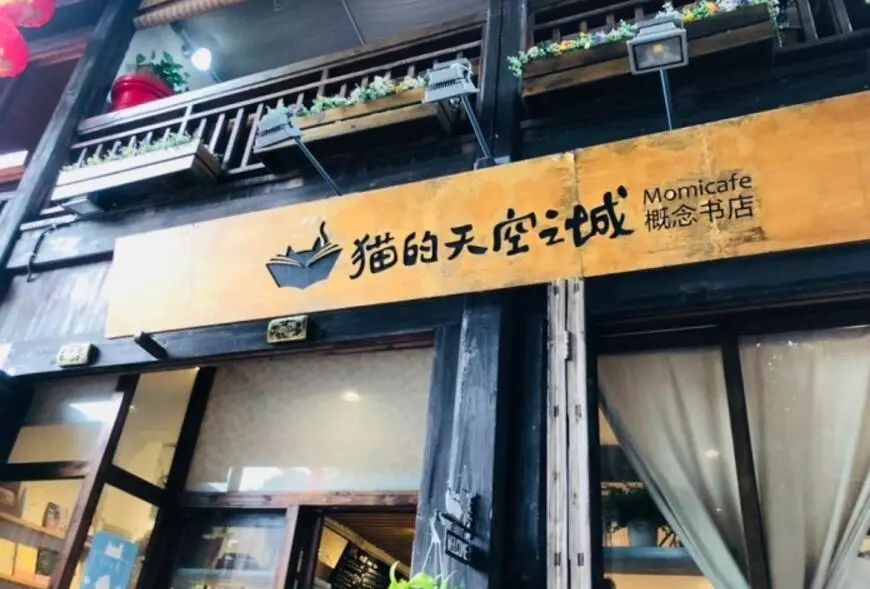 萌出天际!福州这7家撸猫店,简直是铲屎官心中的圣地!