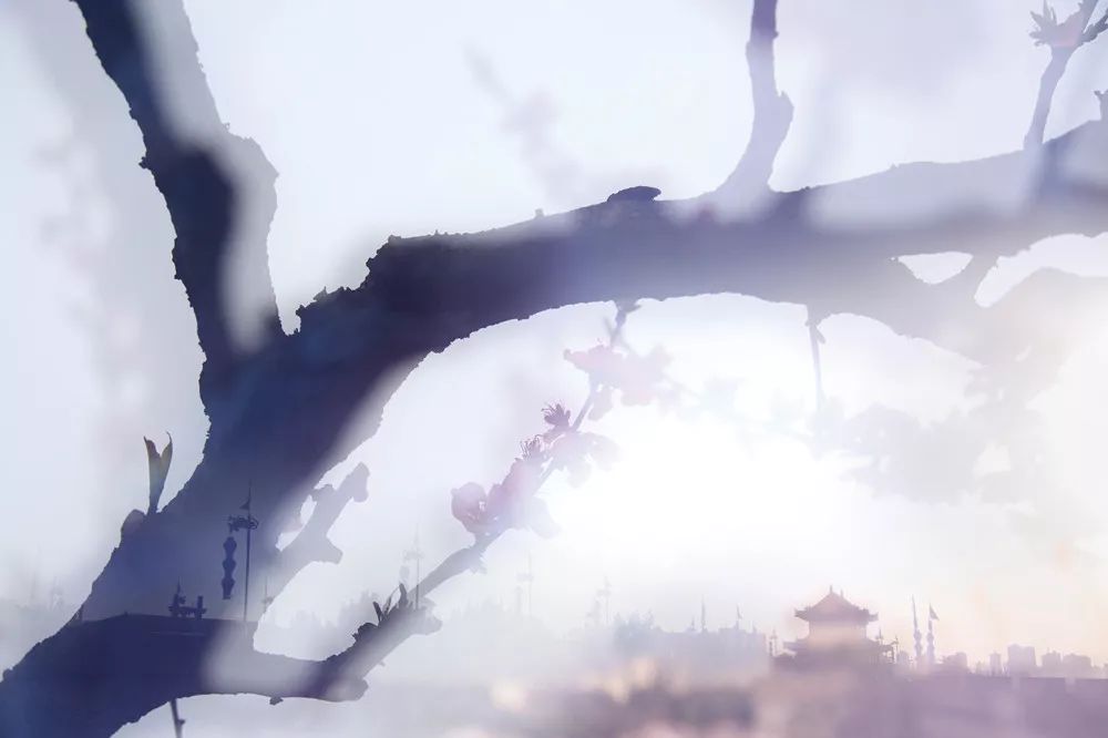 观点 | 林路:“复调摄影”的实验精神与拓展效应