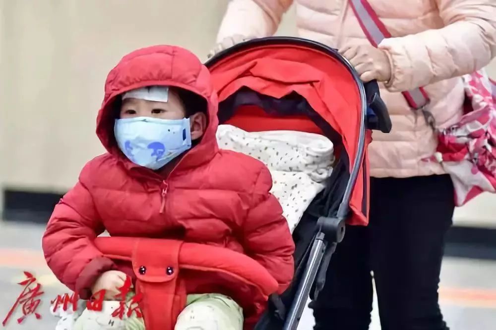 广州日报全媒体记者 王燕 摄