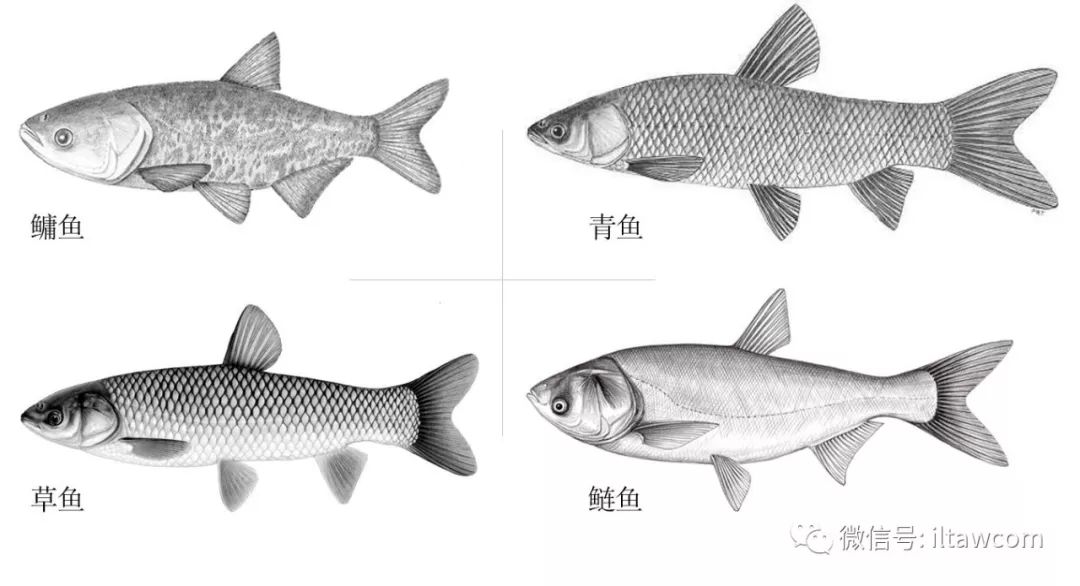狡什么刁什么四字成语_四字成语书法作品图片(2)