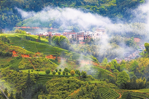 泰州寺巷多少钱真实走访揭秘，寺巷镇及定慧寺巷背后的故事