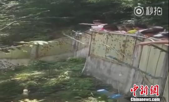 圖為視頻截圖。