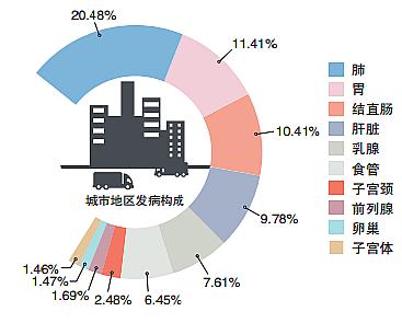 全国城乡人口构成_人口变动与城乡发展 人口自由流迁增添上海大城市发展活力(3)