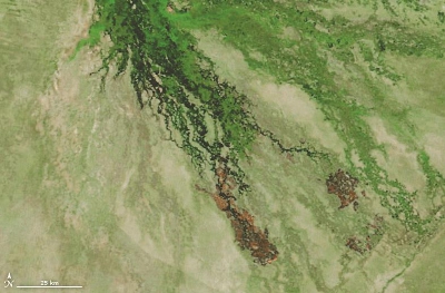 NASA公开两颗地球遥测卫星全部影像资料,看,