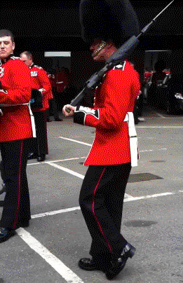 最新一期内涵爆笑动图 我说在做运动,老婆你信吗?