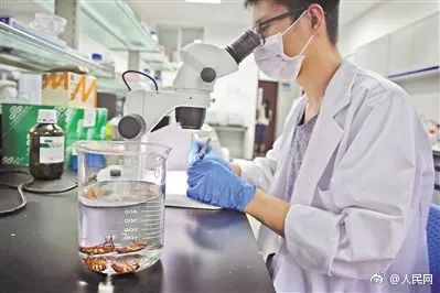 飙温！30℃春天回来了｜崩溃！秦皇岛一对情侣酒