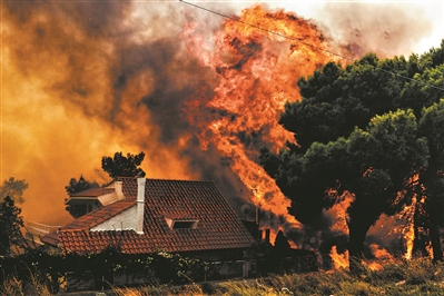 雅典附近山火致死近50人